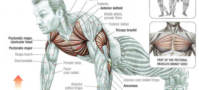 Push-ups