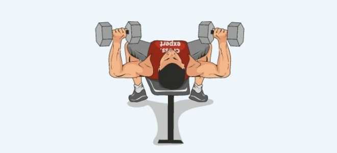 Dumbbell Bench Press | Coach Exercise Guides