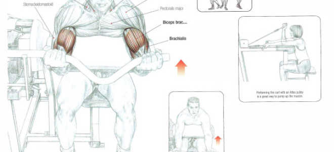 Bending of hands on the Larry-Scott