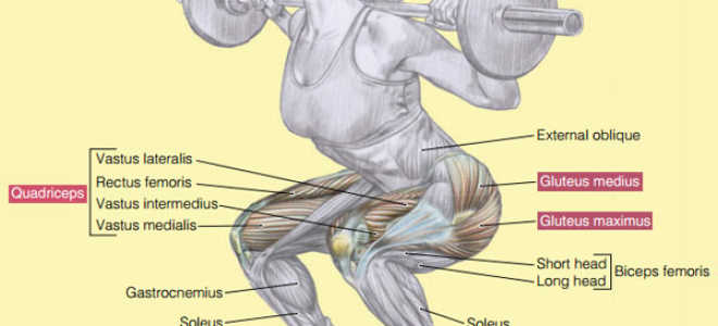 Squats Variations. Technique and Recommendations
